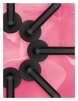 Full Bloom - Brochure