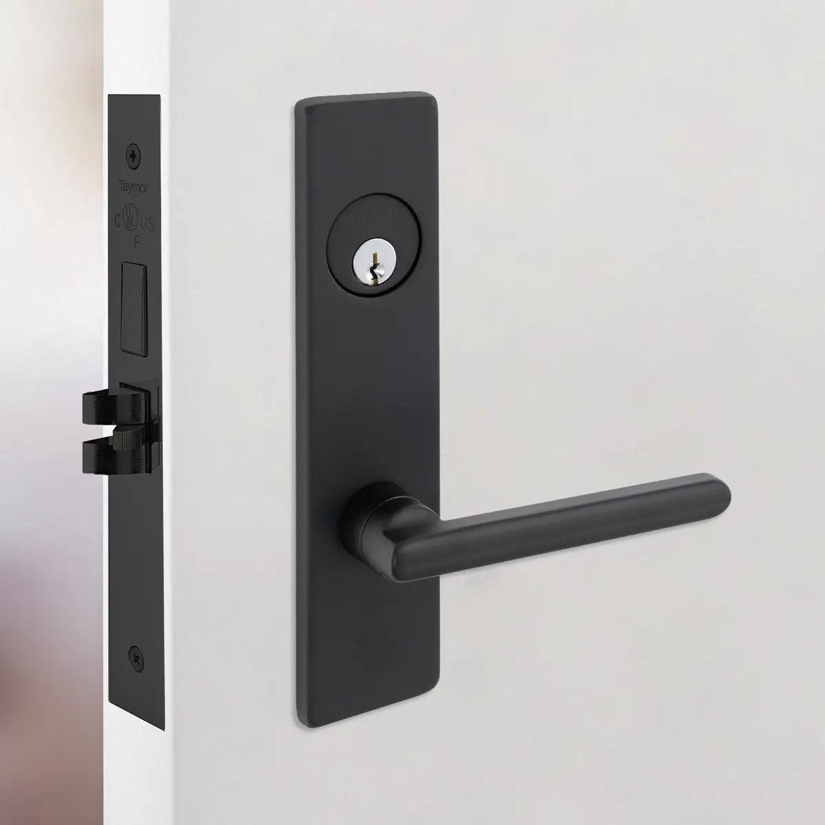 Mortise Lever